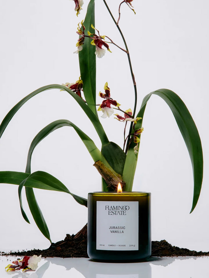 Flamingo Estate Jurassic Vanilla Candle