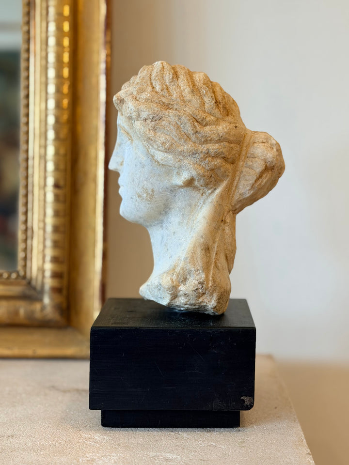 Carved Marble Bust on Ebonized Wood Base, 19th Century