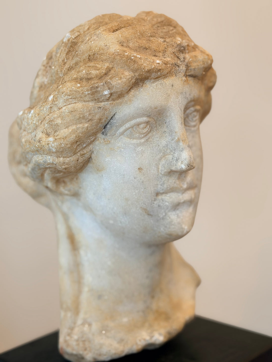 Carved Marble Bust on Ebonized Wood Base, 19th Century