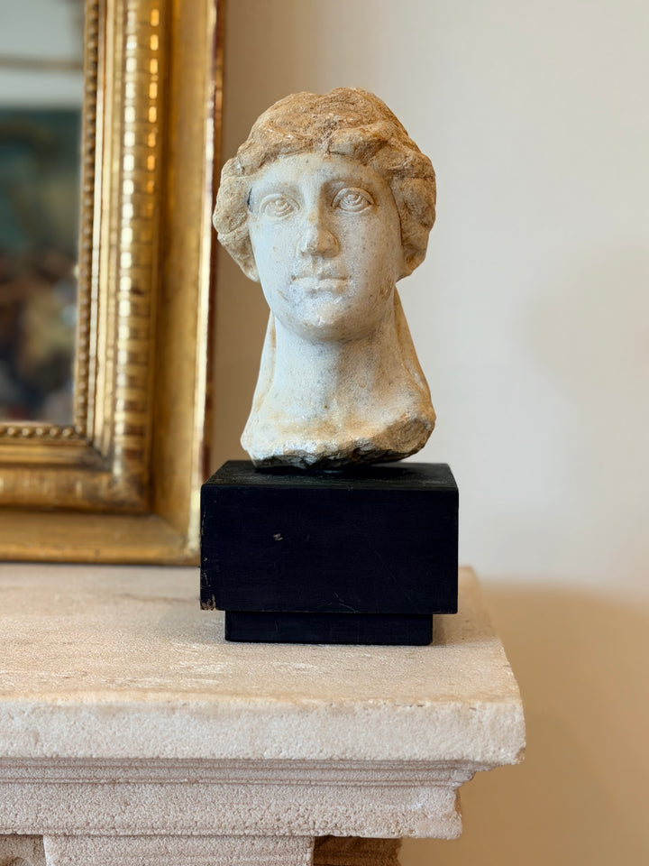Carved Marble Bust on Ebonized Wood Base, 19th Century