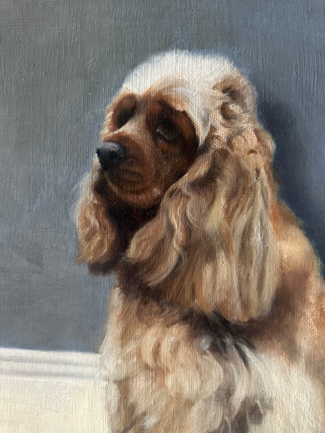 Oil Portrait of a Spaniel in Gilt Frame - 20th Century